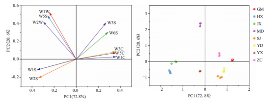 微信圖片_2025-09-01_170339_729